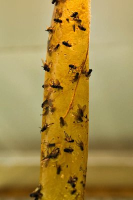 DSC_5134.jpg