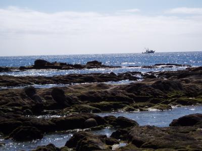 cabos