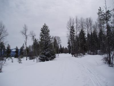 ski trail.JPG