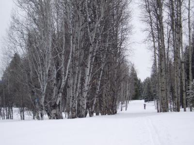 ski trail 2.JPG