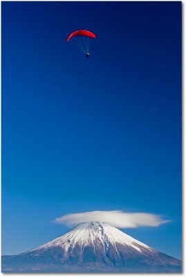 IMG_1993.jpg