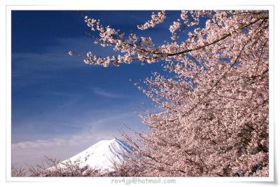 IMG_9875.jpg