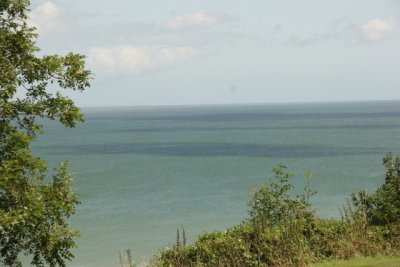 IMG_4377.JPG