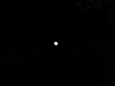IMG_7888.JPG