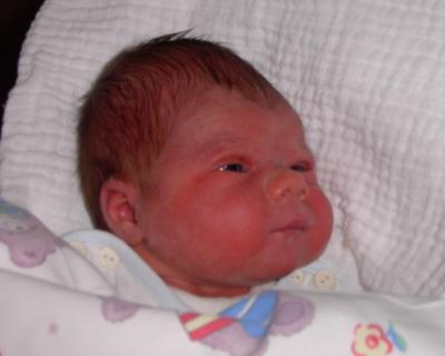 Quinn003.jpg