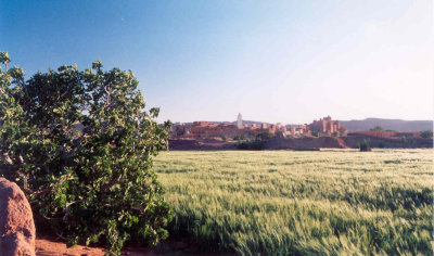 Talmasla - Ouarzazate