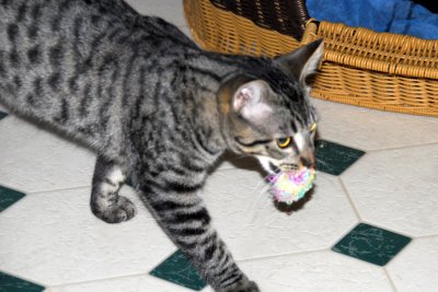 With her ball