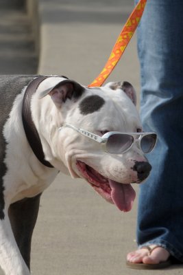 Just chill'n at the park with my shades on.