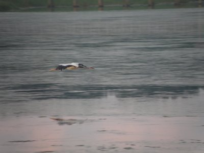g3/92/666592/3/120503895.ifqCCIEI.jpg