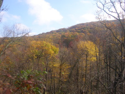 PA280103.JPG