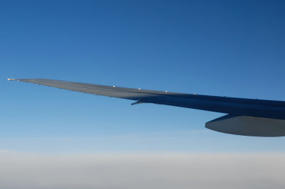 The Wing