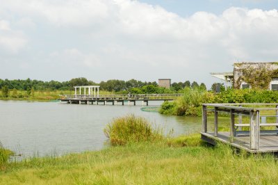 Pond & Bridge
