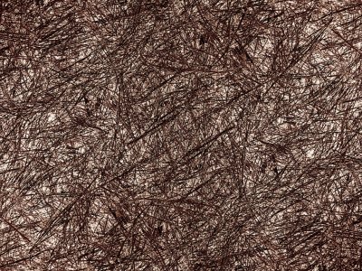 g3/92/694592/3/87633760.VzOuP1AL.jpg