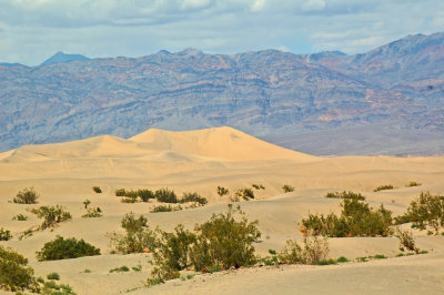 The Dunes 02.jpg