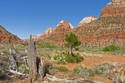 Looking North from the Museum 01.jpg