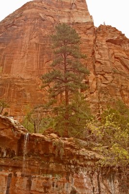 Emerald Pools