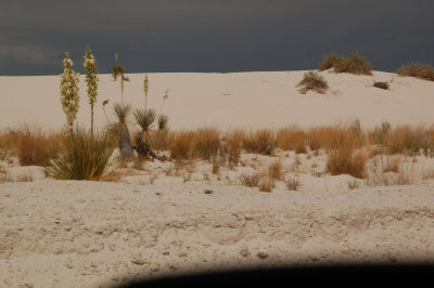 White Sands NM-32.jpg