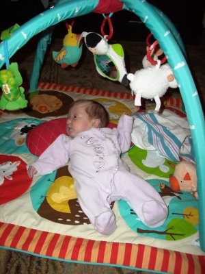 funky farmyard fun
