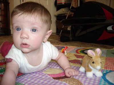 Bella  Bunny