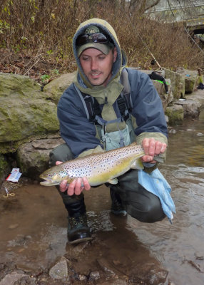 Jon's Brown Trout, New York tributary