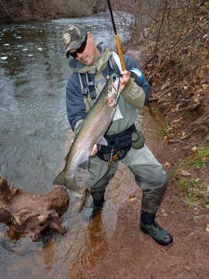 Steelhead