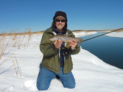 Brown trout