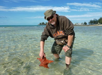Bahamian starfish