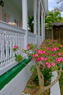 Floras cottage at the Duck Inn