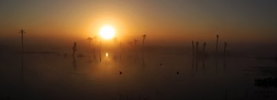 g3/92/741092/3/110429885.svo7J3BI.jpg