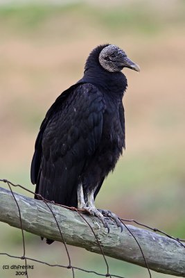 g3/92/741092/3/110547973.LLYJejH3.jpg
