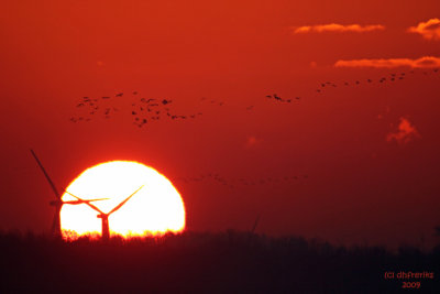 Windmills in the Sunrise. Horicon Marsh. WI