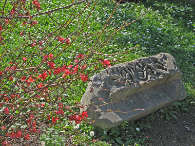 Old stone and spring flowers 0674a