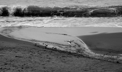 Baker Beach in B&W