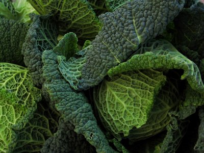 Savoy Cabbage<br />6257