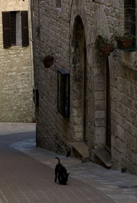 g3/92/758692/3/96756184.LXDznoO7.jpg