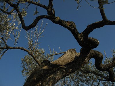 Around Assisi
