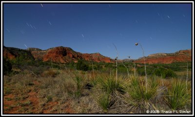 South Prong Canyon Moonscape