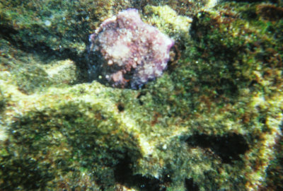 6887246-R1-004-0A.jpg