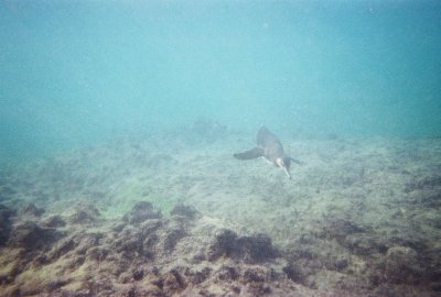 6887246-R1-032-14A.jpg