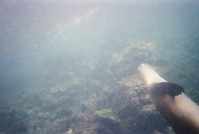 6887246-R1-044-20A.jpg