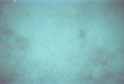 6887246-R2-046-21A.jpg