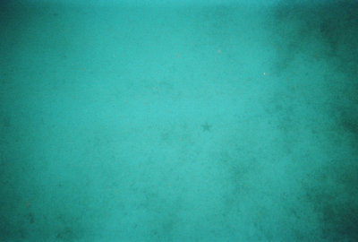 6887246-R2-048-22A.jpg
