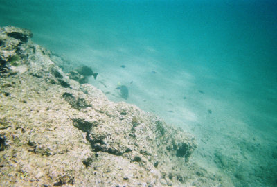 6887246-R4-014-5A.jpg