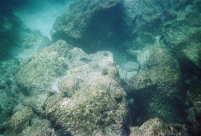 6887246-R5-032-14A.jpg