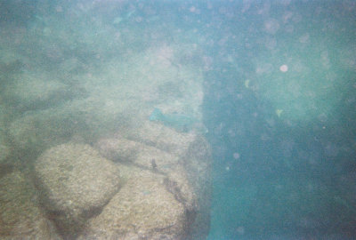 6887246-R5-038-17A.jpg