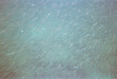 6887246-R5-044-20A.jpg