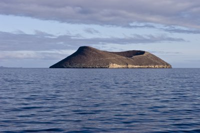 IMG_2105.jpg