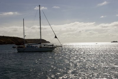 IMG_1807.jpg