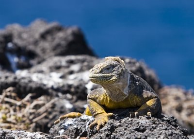 IMG_1854.jpg
