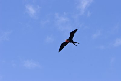 IMG_1919.jpg